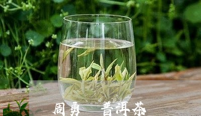 周勇 普洱茶/2023042886494